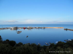 Didim Taşburun