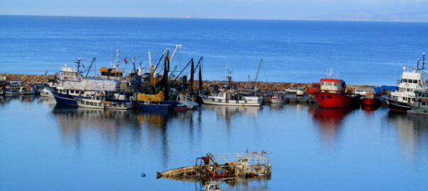 Didim Taşburun