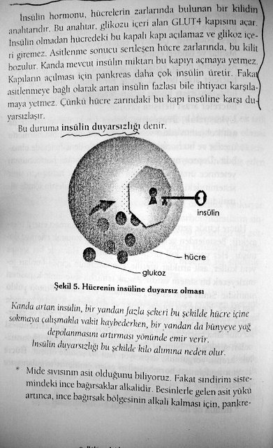 alkali diyet