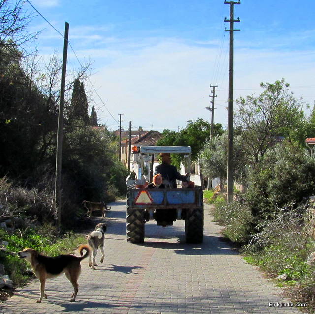 Akköy Sağlık Ocağı yolu