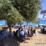 Red's Beach Club - Yeşilkent Didim