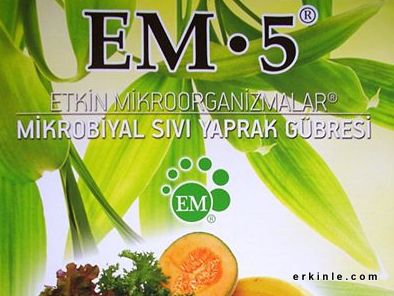 EM 5