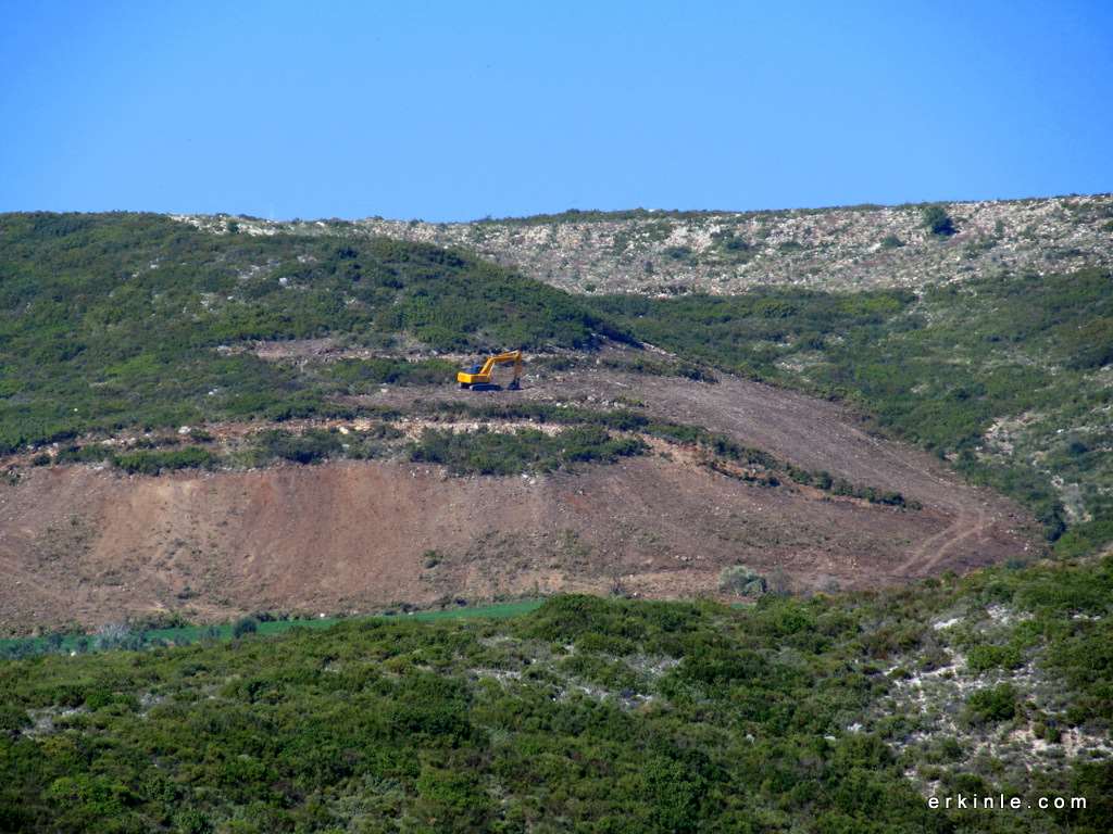 doğpal bitki örtüsü tarımsal amaçlı