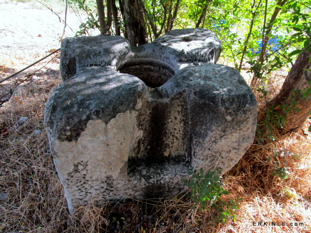 zeytinyağ işleme