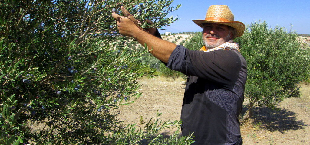 Erkinle Zeytin hasadı